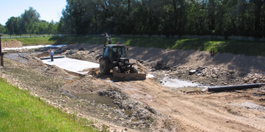 Aru talu vähitiigid